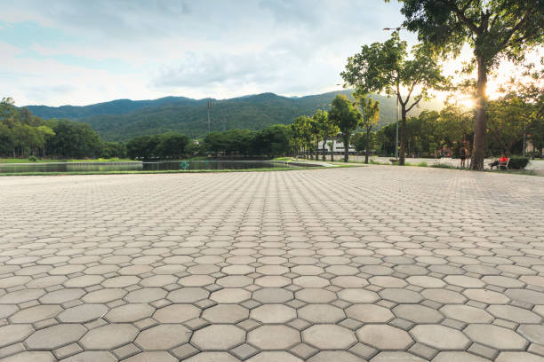 Best Driveway Pavers Near Me  in New Waverly, TX
